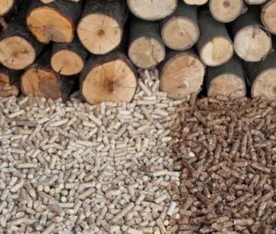 Co wybrać – pellet czy drewno
